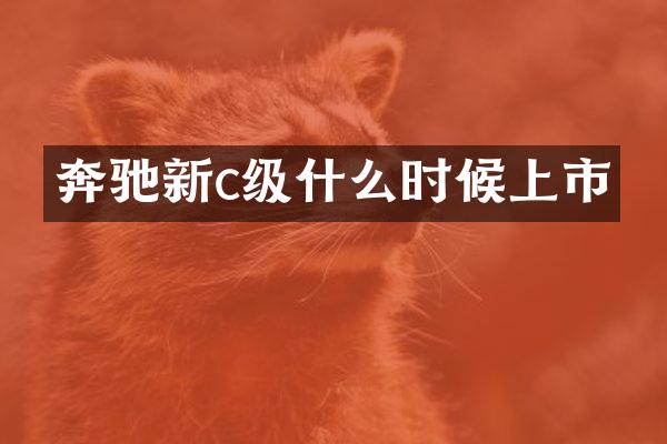 奔驰新c级什么时候上市