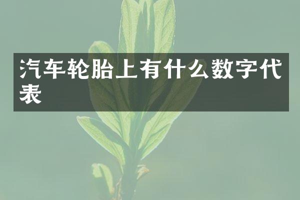 汽车轮胎上有什么数字代表