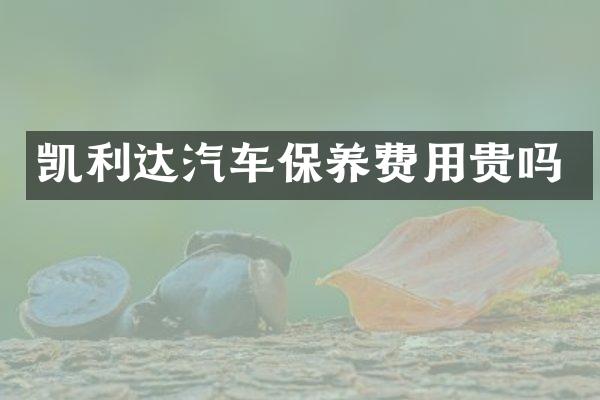 凯利达汽车保养费用贵吗