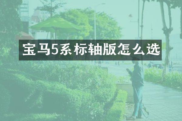 宝马5系标轴版怎么选