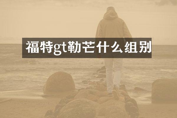 福特gt勒芒什么组别
