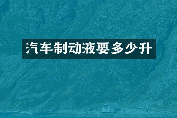 汽车制动液要多少升