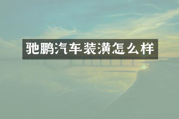 驰鹏汽车装潢怎么样