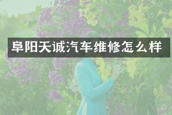 阜阳天诚汽车维修怎么样