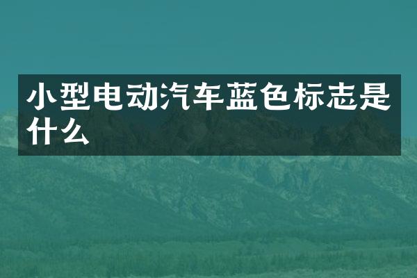 小型电动汽车蓝色标志是什么