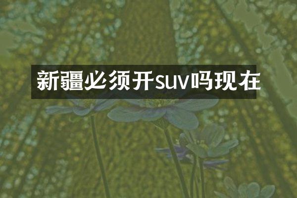 新疆必须开suv吗现在