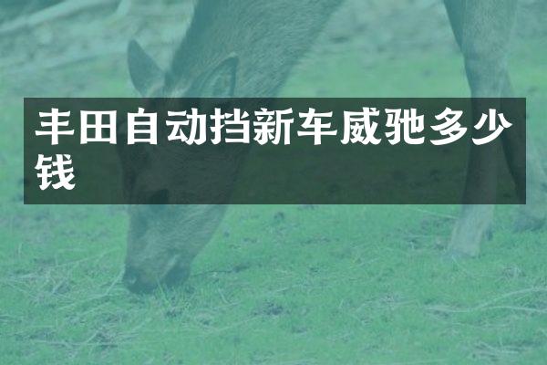 丰田自动挡新车威驰多少钱