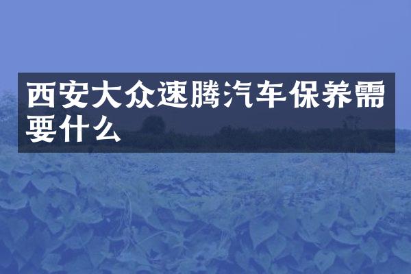 西安大众速腾汽车保养需要什么