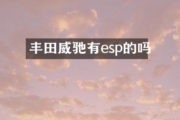 丰田威驰有esp的吗