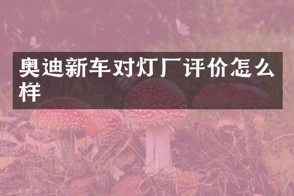 奥迪新车对灯厂评价怎么样