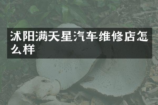 沭阳满天星汽车维修店怎么样