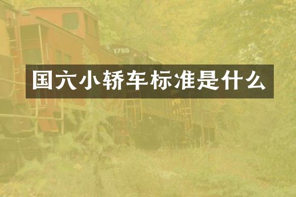 国六小轿车标准是什么