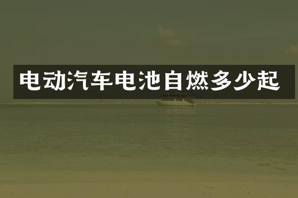 电动汽车电池自燃多少起