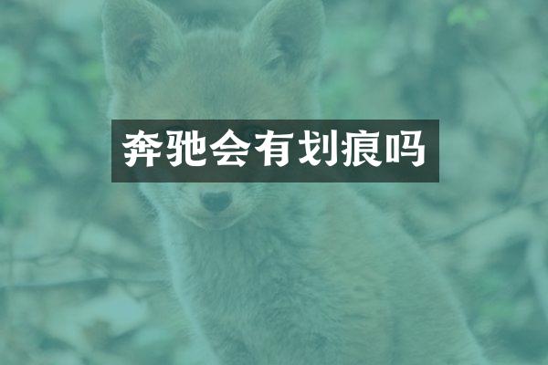 奔驰会有划痕吗