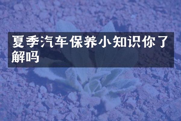 夏季汽车保养小知识你了解吗