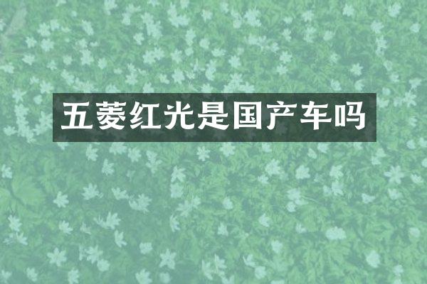 五菱红光是国产车吗