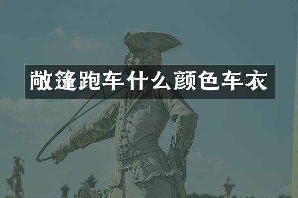 敞篷跑车什么颜色车衣