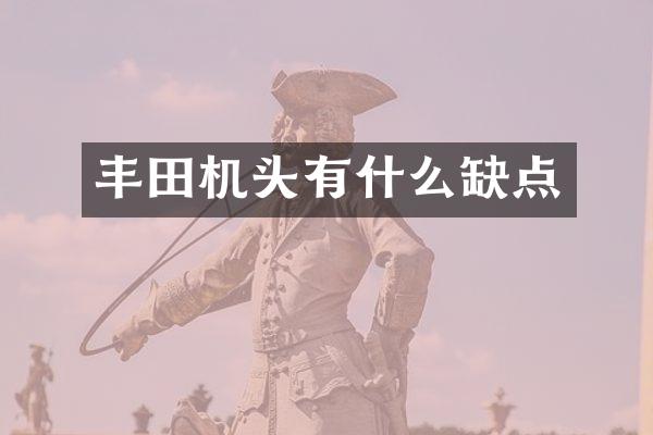 丰田机头有什么缺点