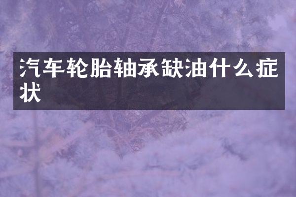 汽车轮胎轴承缺油什么症状