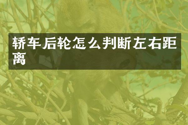 轿车后轮怎么判断左右距离