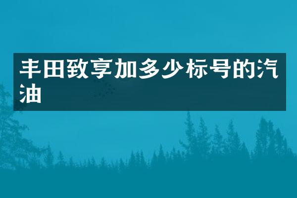 丰田致享加多少标号的汽油