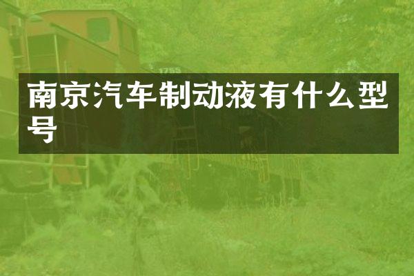 南京汽车制动液有什么型号