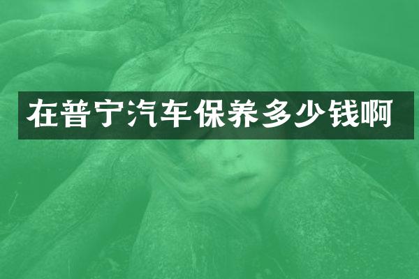在普宁汽车保养多少钱啊
