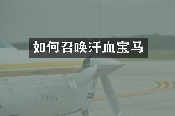 如何召唤汗血宝马