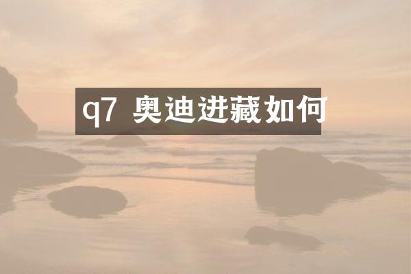 q7 奥迪进藏如何