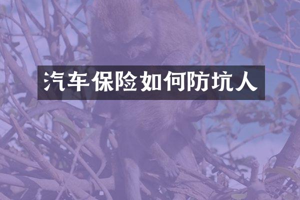 汽车保险如何防坑人