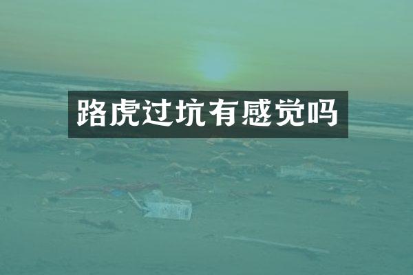 路虎过坑有感觉吗