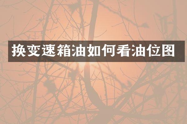 换变速箱油如何看油位图