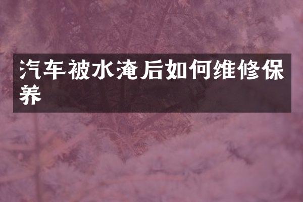 汽车被水淹后如修保养