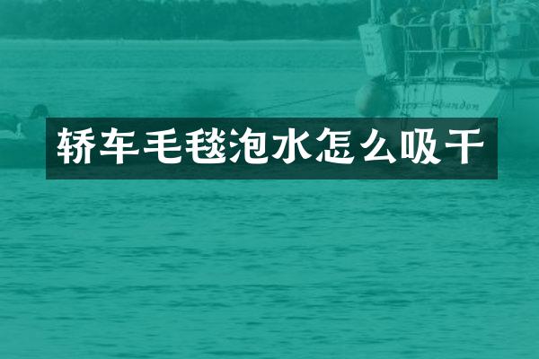 轿车毛毯泡水怎么吸干