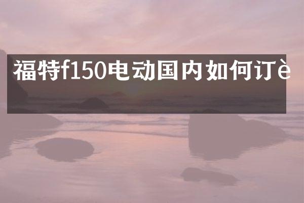 福特f150电动国内如何订购