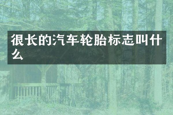 很长的汽车轮胎标志叫什么