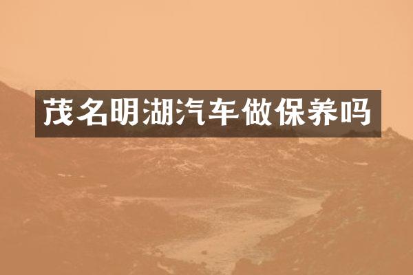 茂名明湖汽车做保养吗