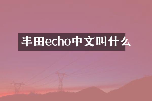 丰田echo中文叫什么