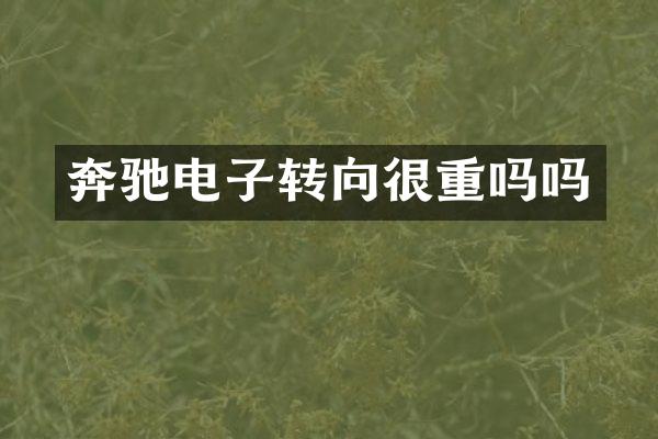 奔驰电子转向很重吗吗