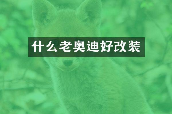 什么老奥迪好改装