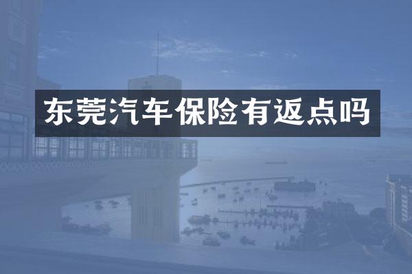 东莞汽车保险有返点吗
