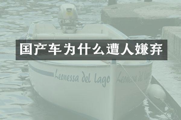 国产车为什么遭人嫌弃