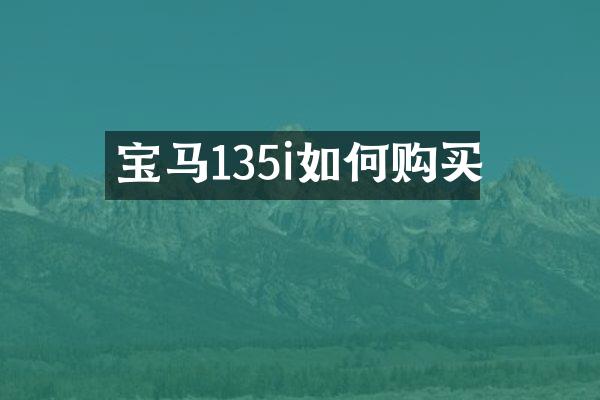 宝马135i如何购买