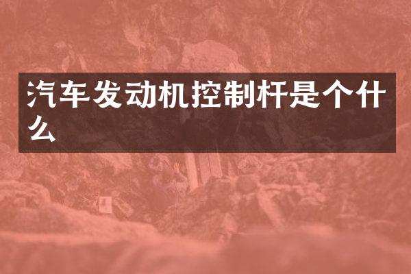 汽车发动机控制杆是个什么