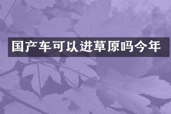 国产车可以进草原吗今年
