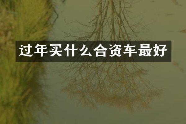 过年买什么合资车最好