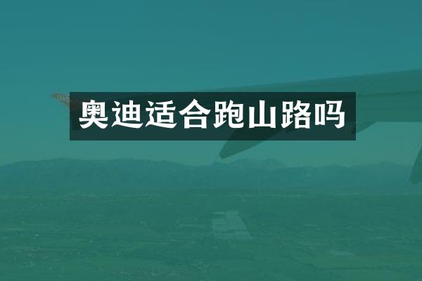 奥迪适合跑山路吗