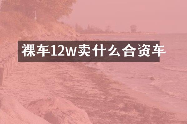 裸车12w卖什么合资车