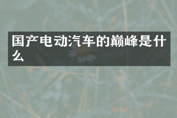 国产电动汽车的巅峰是什么