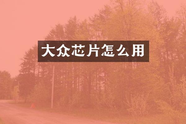 大众芯片怎么用